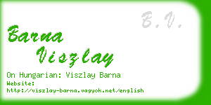 barna viszlay business card